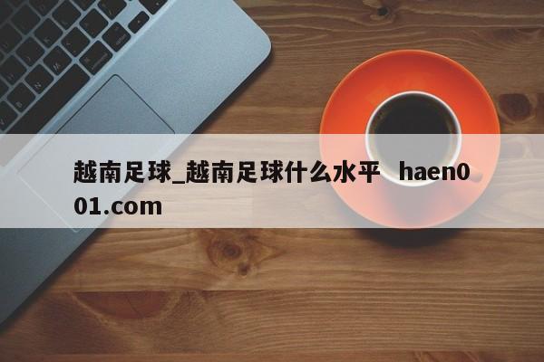 越南足球_越南足球什么水平  haen001.com